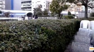 二零二三五月十六号-最新精选美女直播猪猪猪猪哈哈